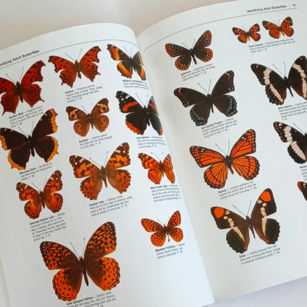 The Butterfly Book by Stokes and Williams (Butterfly and Gardening Planning)